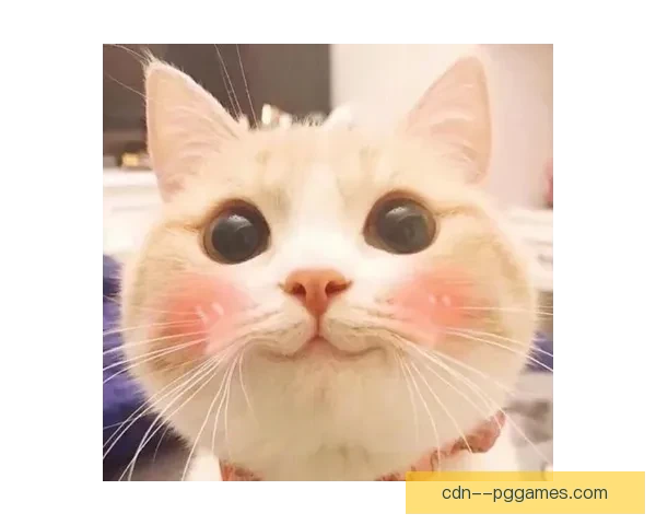 海法马卡比因安全考虑欧战主场临时迁至匈牙利布达佩斯